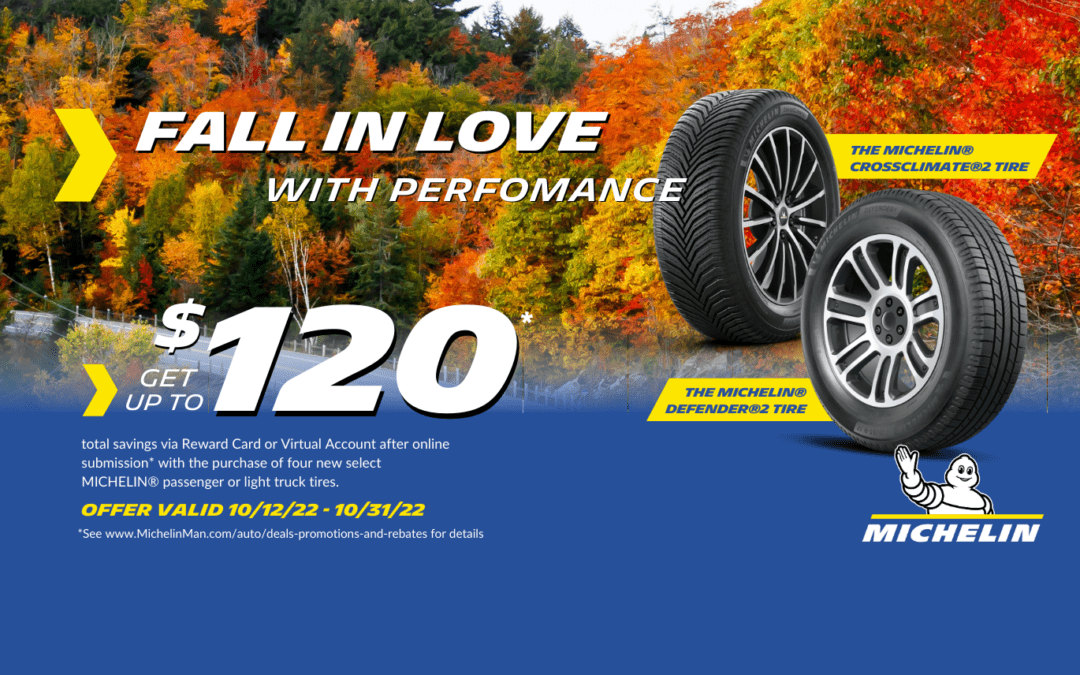 Fall In Love Banner